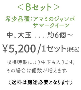 Bセット